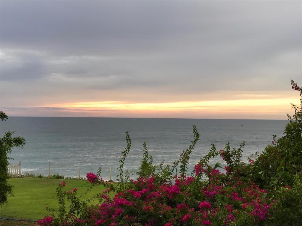 Peacock Beach Hotel Hambantota Dış mekan fotoğraf
